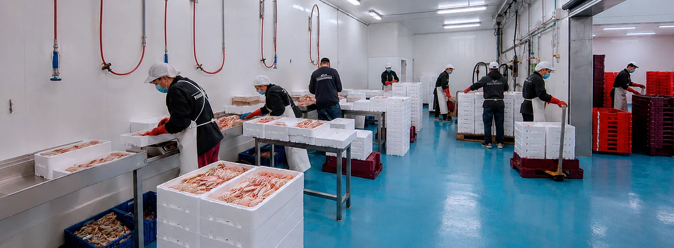Proceso integral de cigala en instalaciones de Mariscos Pablo Iglesias en el puerto de A Coruña, Galicia