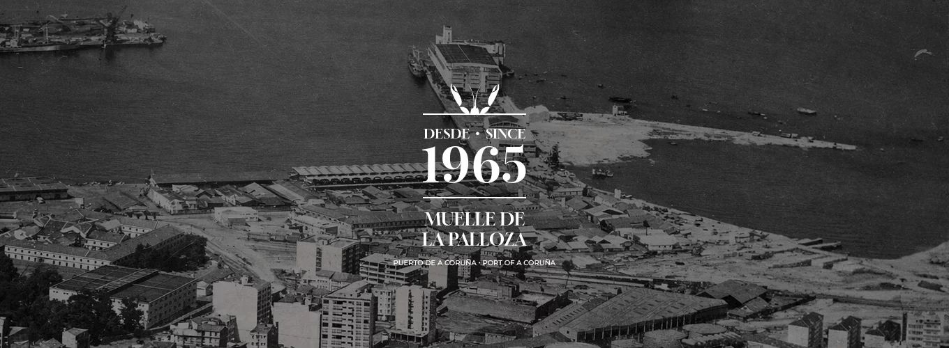 Más de 60 años de trayectoria en cigala, Mariscos Pablo Iglesias, empresa gallega fundada en A Coruña en 1965
